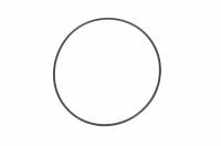 Chevrolet Performance - Chevrolet Performance 19166180 - O-Ring Gasket  Rear Cover