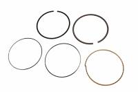 Genuine GM Parts - Genuine GM Parts 89017484 - RING KIT,PSTN (STD)