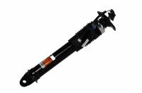 ACDelco - ACDelco 19431690 - Rear Passenger Side Shock Absorber Kit
