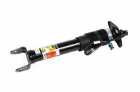 ACDelco - ACDelco 19431687 - Rear Passenger Side Shock Absorber