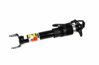 ACDelco - ACDelco 19431688 - Rear Driver Side Shock Absorber Kit
