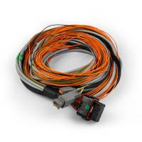 FuelTech - FuelTech 2001007754 - FT Input Expander Harness 10Ft