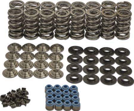 SDPC - SDPC .660" Dual Spring Kit for LS Engines
