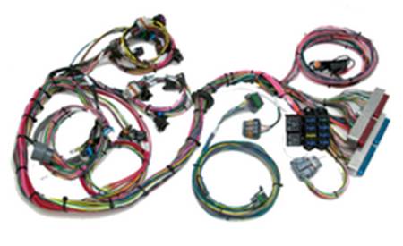 Painless Wiring - Painless Wiring 60522 - 1997-2004 GM LS1 Throttle by Wire Harness Std. length