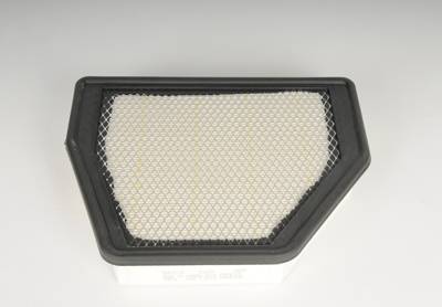 ACDelco - ACDelco A3163C - Air Filter