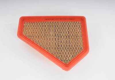 ACDelco - ACDelco A3105C - Air Filter