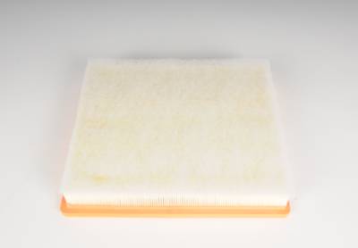 ACDelco - ACDelco A3172C - Air Filter