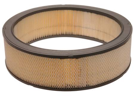 ACDelco - ACDelco A697CF - Durapack Air Filter