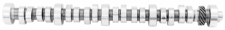 Ford Performance - Ford Performance M-6250-B303 Hydraulic Roller Camshaft