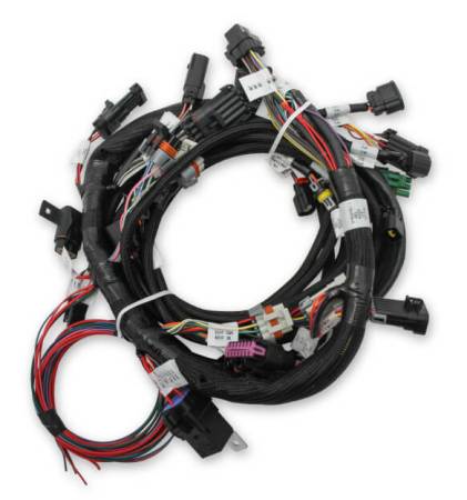 Holley EFI - Holley EFI 558-510 - Ford Coyote Ti-VCT Harness Kit