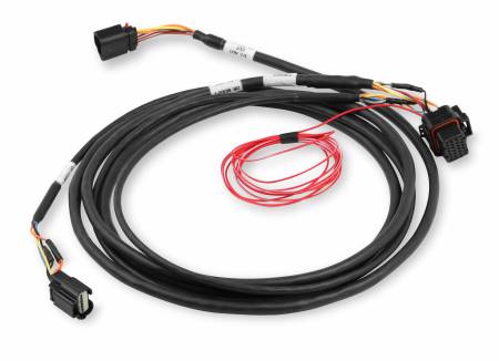 Holley EFI - Holley EFI 558-422 - Ford Coyote (2011-2017) Drive-By-Wire Harness