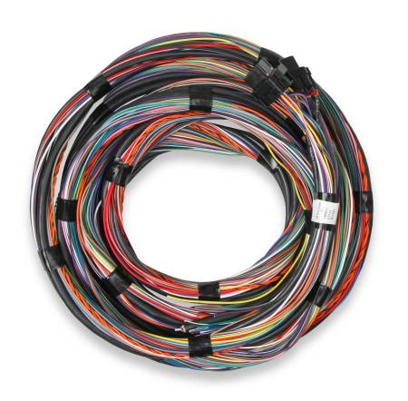 Holley EFI - Holley EFI 558-126 - Unterminated 15' Flying Lead Main Harness