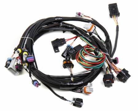 Holley EFI - Holley EFI 558-102 - LS1/6 (24x/1x) Engine Main Harness