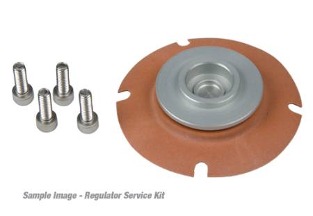 Aeromotive Fuel System - Aeromotive Fuel System 13001 - EFI Regulator Repair Kit 13101,13109,13151,13159,13114