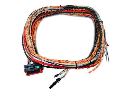 FuelTech - FuelTech 5015006583 - FTSpark-1 Blank Harness