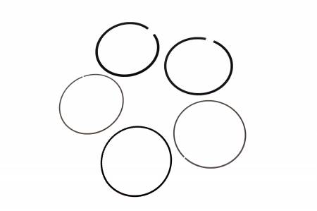 Genuine GM Parts - Genuine GM Parts 19180423 - RING KIT,PSTN