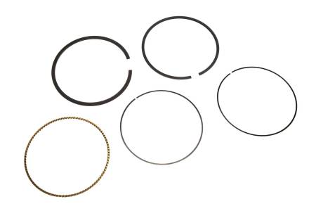 Genuine GM Parts - Genuine GM Parts 89018049 - RING KIT,PSTN (STD)