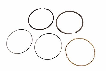 Genuine GM Parts - Genuine GM Parts 89017484 - RING KIT,PSTN (STD)