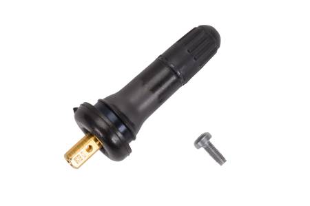 GM Accessories - GM Accessories 19259587 - Buick Enclave Tire Valve Kit with Cap (2009-2017)