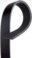 ACDelco - ACDelco 12634319 - V-Ribbed Serpentine Belt - Image 2