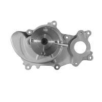 ACDelco - ACDelco 252-979 - Water Pump Kit - Image 1