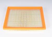 ACDelco - ACDelco A2939C - Air Filter - Image 2