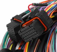 Holley EFI - Holley EFI 558-126 - Unterminated 15' Flying Lead Main Harness - Image 2