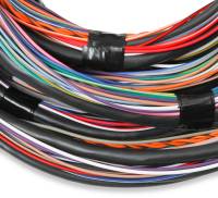 Holley EFI - Holley EFI 558-126 - Unterminated 15' Flying Lead Main Harness - Image 3