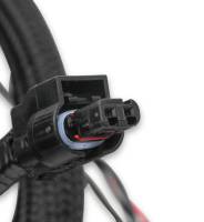 Holley EFI - Holley EFI 558-124 - Ford Coyote Ti-VCT Sub Harness (2011-2012) - Image 2