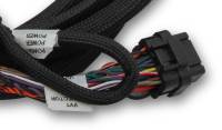 Holley EFI - Holley EFI 558-124 - Ford Coyote Ti-VCT Sub Harness (2011-2012) - Image 3