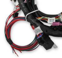 Holley EFI - Holley EFI 558-110 - Holley EFI Ford Coyote Engine Main Harness w/ Ti-VCT and stock coils (2011-2017) - Image 2