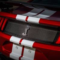 Ford Performance - Ford Performance M-16600-MCF - 2020-21 GT500 Carbon Fiber Rear Deck Lid Panel - Image 2