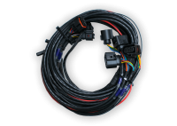 FuelTech - FuelTech 2001006093 - 4X Wb-O2 Nano Blank Harness 6.5Ft - Image 1