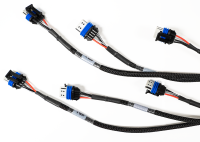 FuelTech - FuelTech 2002007265 - LS550 V8 Complete Harness - Image 2