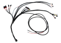 FuelTech - FuelTech 3026100077 - PRO600 Ford V8 Complete Harness - Image 3