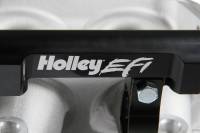 Holley EFI - Holley EFI 300-620 - Kit, Int. Manifold, Ls1 Lo-Ram, Satin - Image 12