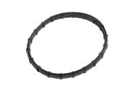 Genuine GM Parts - Genuine GM Parts 12625981 - SEAL-OIL FLTR ADAP - Image 1