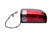 Genuine GM Parts - Genuine GM Parts 20822394 - LAMP ASM-TAIL - Image 1