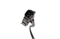 Genuine GM Parts - Genuine GM Parts 19116451 - WIRE ASM,HORN *FOR CORRECT - Image 3
