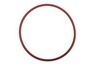 Genuine GM Parts - Genuine GM Parts 12562004 - SEAL,W/PMP CVR(O RING) - Image 2