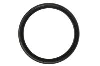 Genuine GM Parts - Genuine GM Parts 12591866 - SEAL ASM-CR/SHF RR OIL - Image 2