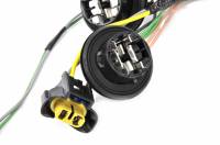 ACDelco - ACDelco 15841610 - Headlight Wiring Harness - Image 2