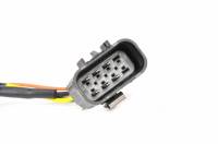 ACDelco - ACDelco 15841610 - Headlight Wiring Harness - Image 3