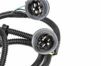 ACDelco - ACDelco 25958494 - Driver Side Tail Light Wiring Harness - Image 2