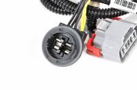 ACDelco - ACDelco 25958494 - Driver Side Tail Light Wiring Harness - Image 3