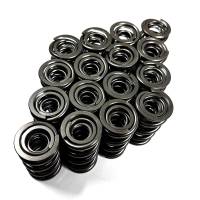 PSI Springs - PSI Springs DR1249ML - Triple Spring 1200 Series - Image 3