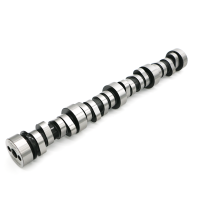 Texas Speed & Performance - Texas Speed & Performance 25-TSP212218R6112 - Stage 2 High Lift Truck Camshaft - Image 2