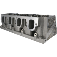 Texas Speed & Performance - Texas Speed & Performance 199-SSPRCLT1 - LT1 CNC Cylinder Heads - Image 2