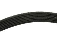 Genuine GM Parts - Genuine GM Parts 12653389 - BELT-GEN & A/C CMPR - Image 2