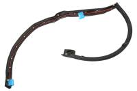 Genuine GM Parts - Genuine GM Parts 23455370 - WEATHERSTRIP ASM-RR S/D RR AUX - Image 2